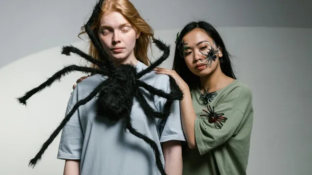 Five DPP myths small fashion brands should stop believing
